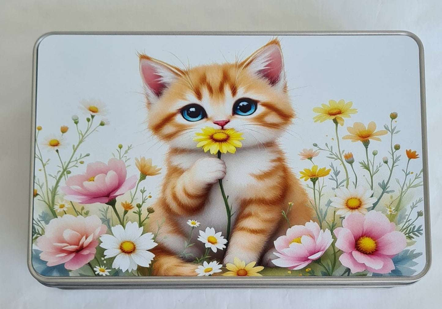 Katzendose- Aufbewahrung oder zum Verschenken